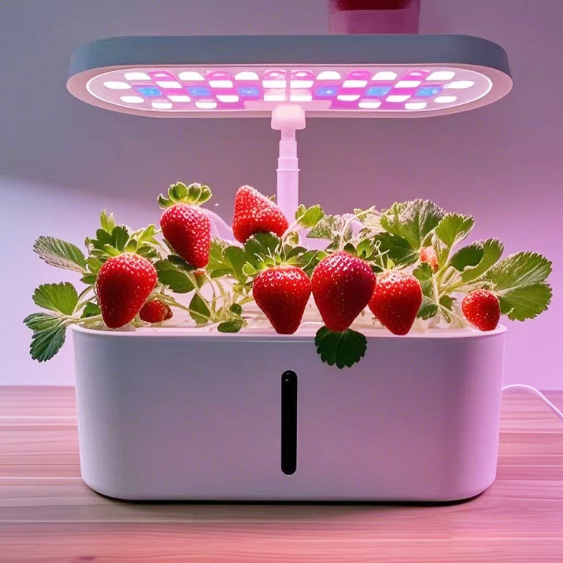 Slimme Hydroponische Groentekw - Smart Home recensie en prijs
