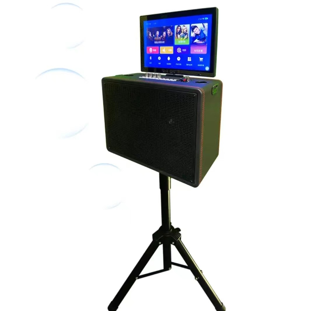 14,1 inch Flip Smart Karaoke S - Homesmart Online recensie en prijs