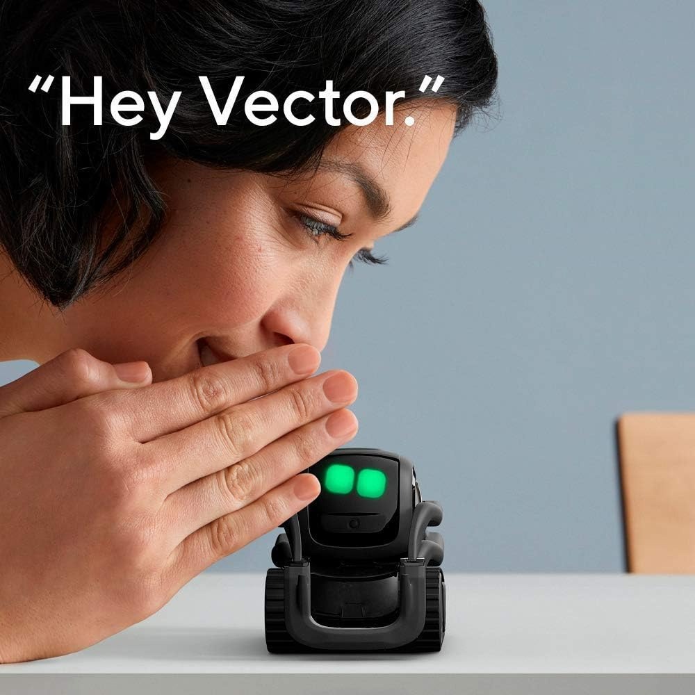 AI ChatGPT 2.0 Verbonden Robot - Smart Home Remote Control recensie en prijs