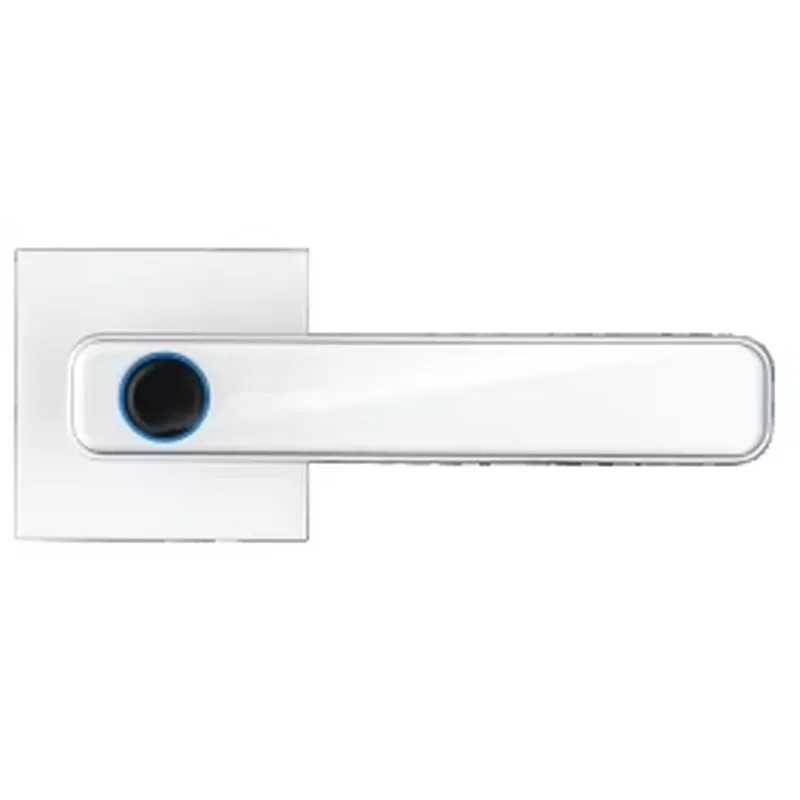 Hoogwaardige touchscreen vinge - Smart Home App recensie en prijs
